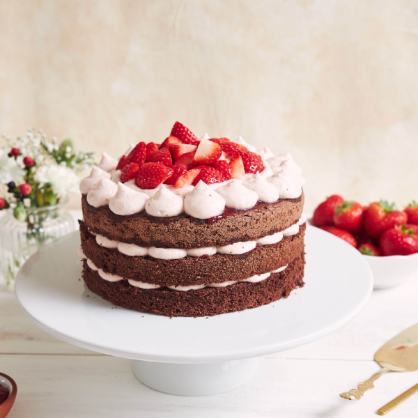 Special Cakes for Every Celebration